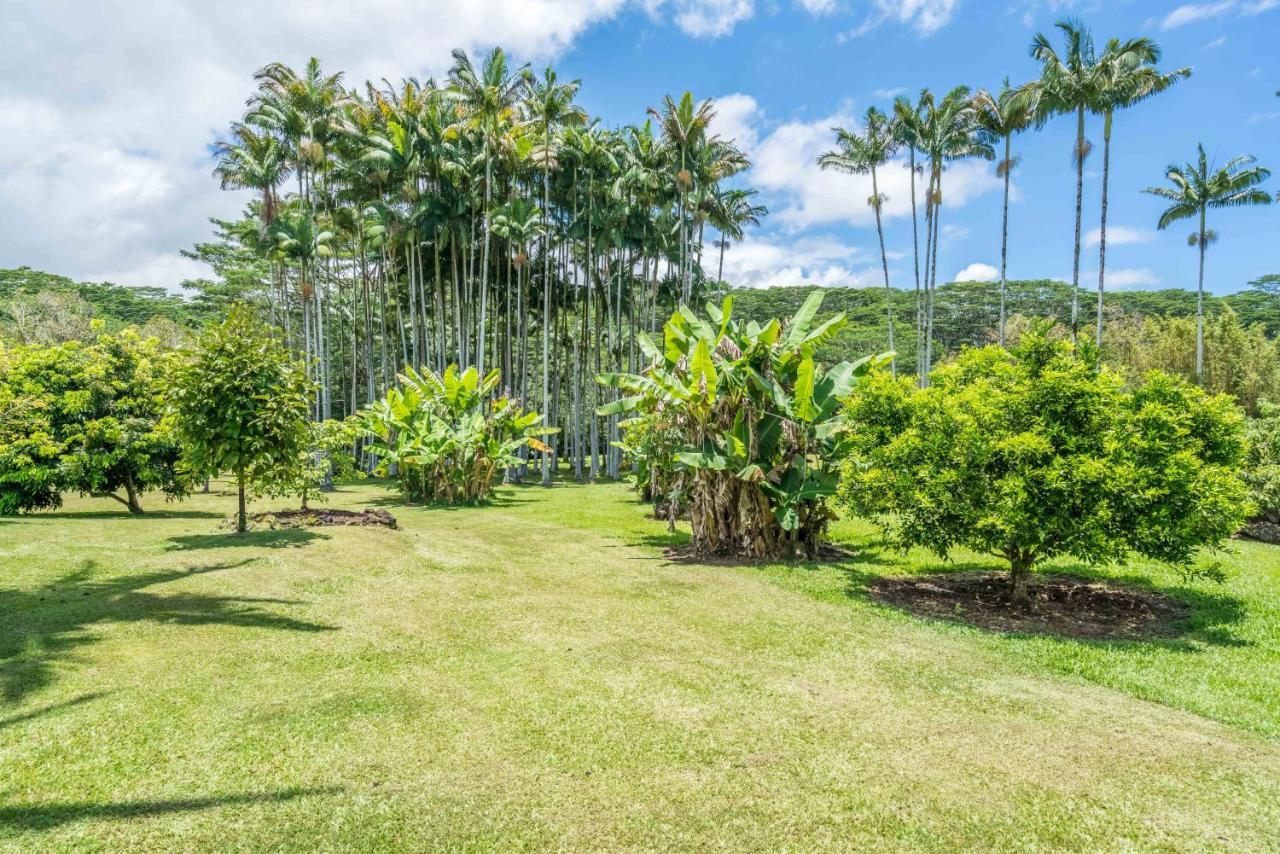 Old Hawaiian Bed And Breakfast ฮิโล ภายนอก รูปภาพ