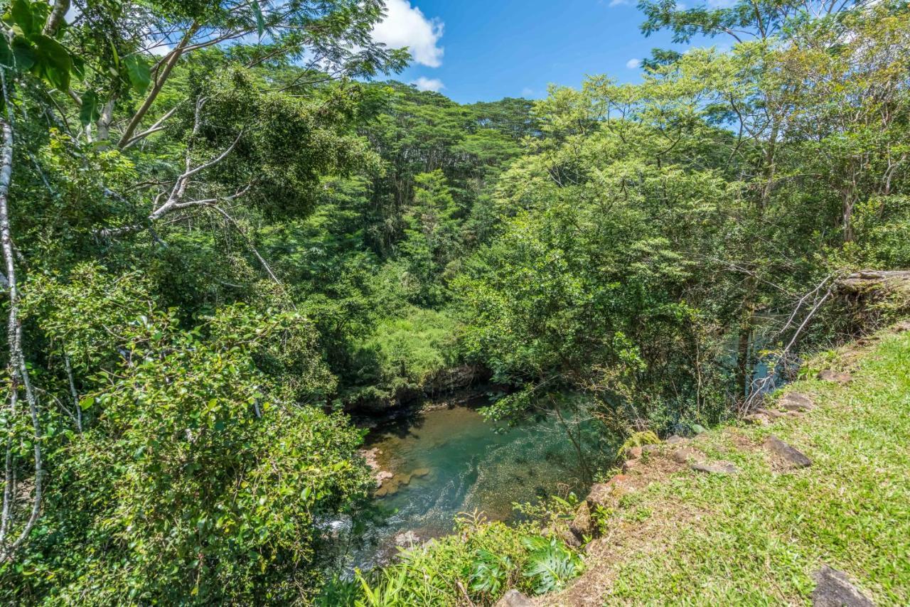 Old Hawaiian Bed And Breakfast ฮิโล ภายนอก รูปภาพ