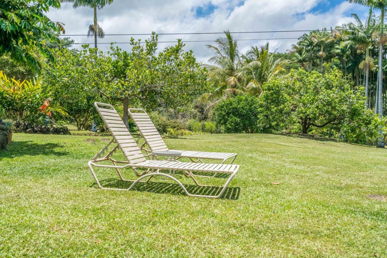 Old Hawaiian Bed And Breakfast ฮิโล ภายนอก รูปภาพ