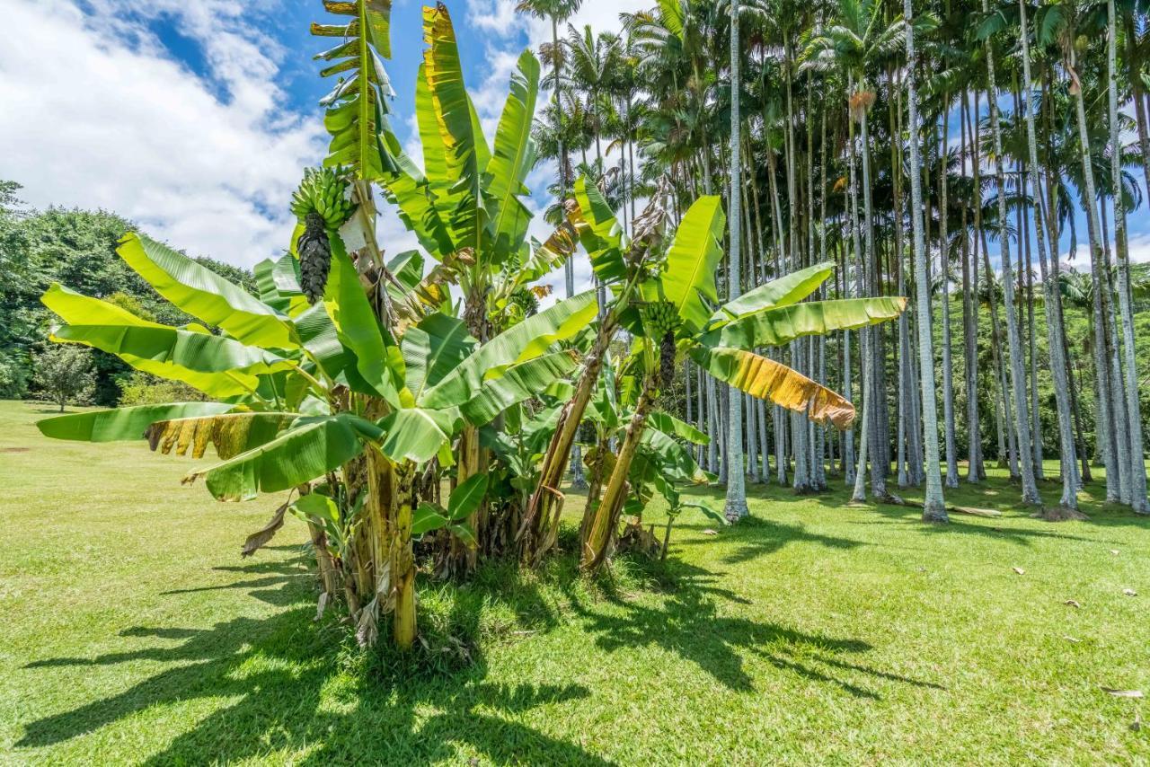 Old Hawaiian Bed And Breakfast ฮิโล ภายนอก รูปภาพ