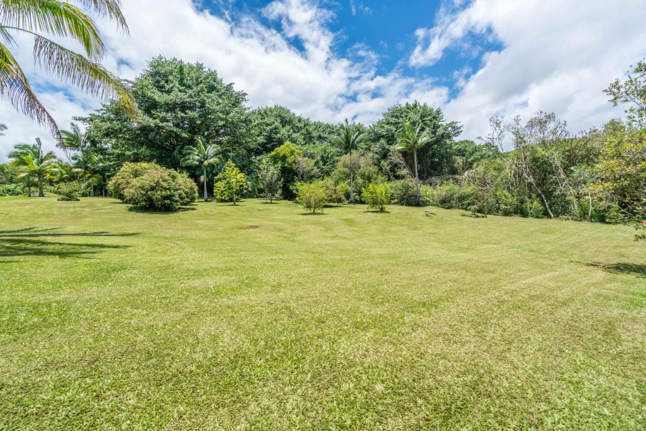 Old Hawaiian Bed And Breakfast ฮิโล ภายนอก รูปภาพ