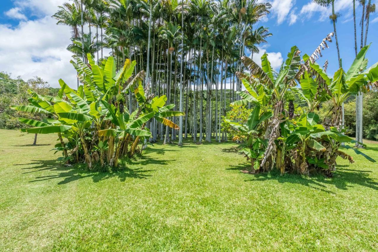 Old Hawaiian Bed And Breakfast ฮิโล ภายนอก รูปภาพ