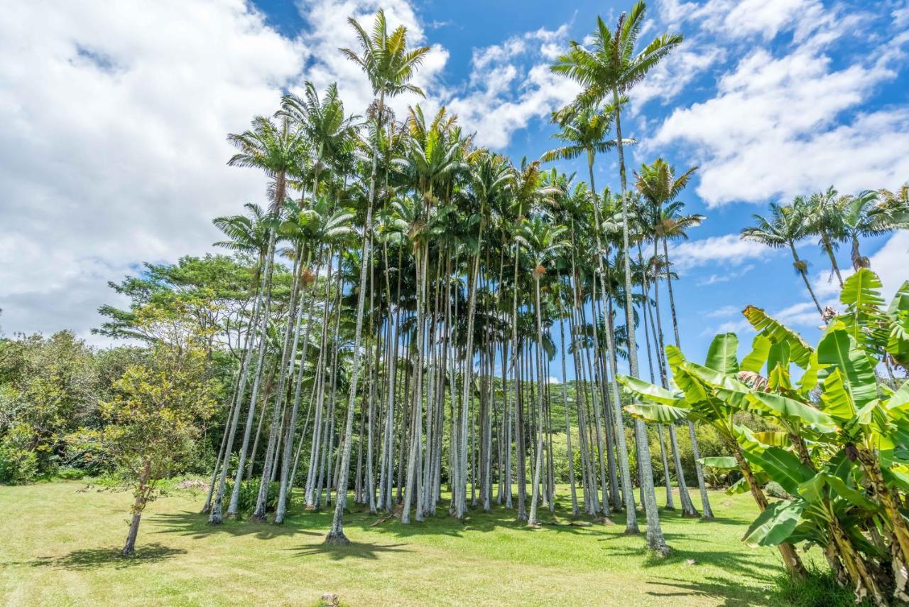 Old Hawaiian Bed And Breakfast ฮิโล ภายนอก รูปภาพ